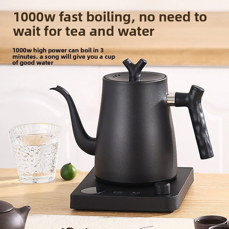 Bollitore Elettrico a Collo d' - Electric Kettle Temperature Control recensione e prezzo