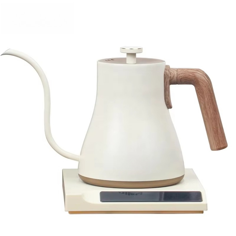 Bollitore elettrico in acciaio - Electric Kettle Temperature Control recensione e prezzo